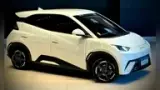 BYD Dolphin Mini - Miniatura 7