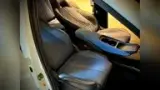 BYD Dolphin Mini - Miniatura 11