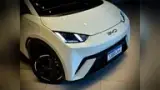 BYD Dolphin Mini - Miniatura 13