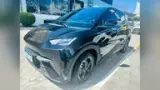 BYD Dolphin Mini - Miniatura 2