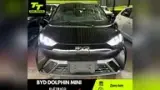 BYD Dolphin Mini - Miniatura 1