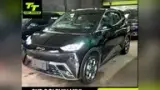 BYD Dolphin Mini - Miniatura 2