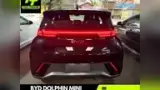 BYD Dolphin Mini - Miniatura 5