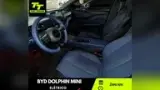 BYD Dolphin Mini - Miniatura 7