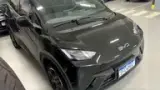 BYD Dolphin Mini - Miniatura 3