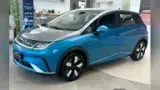 BYD Dolphin Plus - Miniatura 4