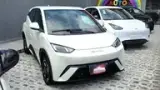 BYD Dolphin Mini - Miniatura 1