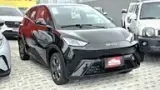BYD Dolphin Mini - Miniatura 1