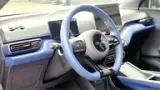 BYD Dolphin Mini - Miniatura 9