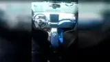 BYD Dolphin Mini - Miniatura 4