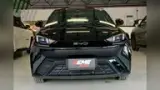 BYD Dolphin Mini - Miniatura 2
