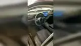 BYD Dolphin Mini - Miniatura 6