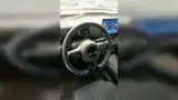 BYD Dolphin Mini - Miniatura 7