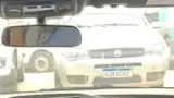 BYD Dolphin Mini - Miniatura 9