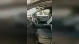 BYD Dolphin Mini - Miniatura 11