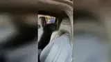 BYD Dolphin Mini - Miniatura 12