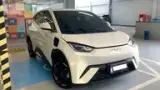 BYD Dolphin Mini - Miniatura 2