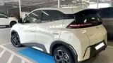 BYD Dolphin Mini - Miniatura 5