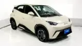 BYD Dolphin Mini - Miniatura 6