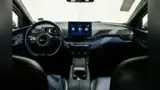 BYD Dolphin Mini - Miniatura 13