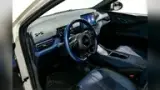 BYD Dolphin Mini - Miniatura 14