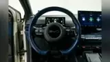 BYD Dolphin Mini - Miniatura 15