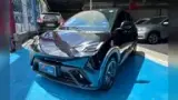 BYD Dolphin Mini - Miniatura 3