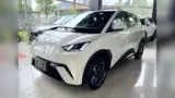 BYD Dolphin Mini - Miniatura 2