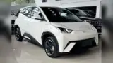 BYD Dolphin Mini - Miniatura 4