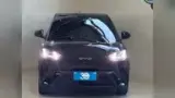 BYD Dolphin Mini - Miniatura 2