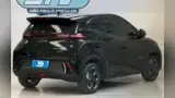 BYD Dolphin Mini - Miniatura 5