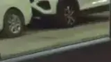 BYD Dolphin Mini - Miniatura 9