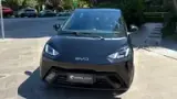 BYD Dolphin Mini - Miniatura 1