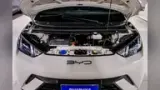 BYD Dolphin Mini - Miniatura 6