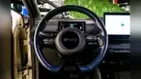BYD Dolphin Mini - Miniatura 15