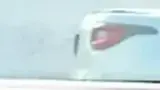 BYD Dolphin Mini - Miniatura 7