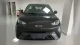 BYD Dolphin Mini - Miniatura 4