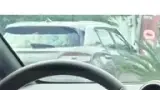 BYD Dolphin - Miniatura 4
