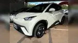 BYD Dolphin Mini - Miniatura 1