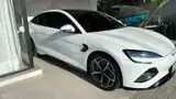 BYD Seal - Miniatura 2