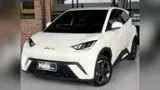 BYD Dolphin Mini - Miniatura 1