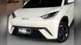 BYD Dolphin Mini - Miniatura 2