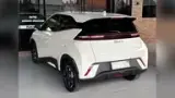 BYD Dolphin Mini - Miniatura 7