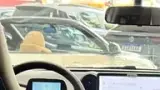 BYD Dolphin - Miniatura 16