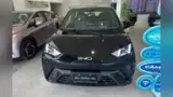 BYD Dolphin Mini - Miniatura 11