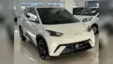 BYD Dolphin Mini - Miniatura 1