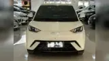 BYD Dolphin Mini - Miniatura 2