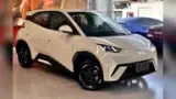 BYD Dolphin Mini - Miniatura 1