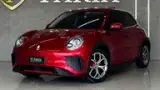 GWM Ora 03 - Miniatura 1