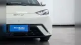BYD Dolphin Mini - Miniatura 2